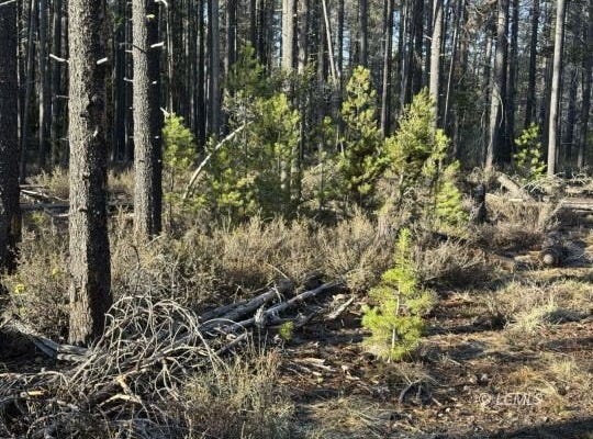 Artesian Drive, Chemult, OR 97624