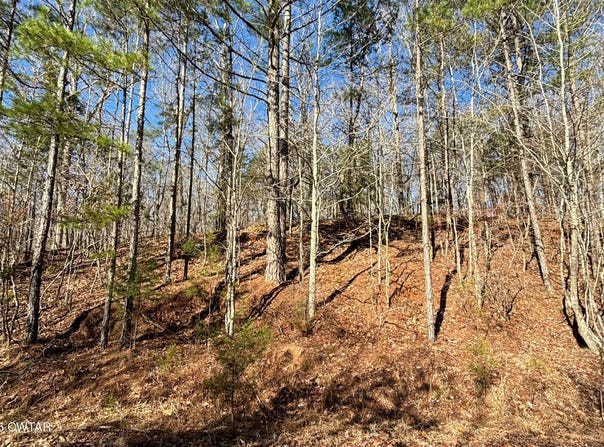0 Hollywood Dr., Saulsbury, TN 38067