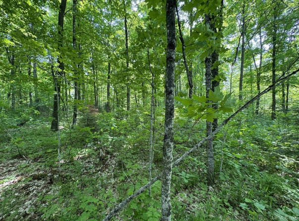 160 Acres Mead Logging, Crystal Falls, MI 49920
