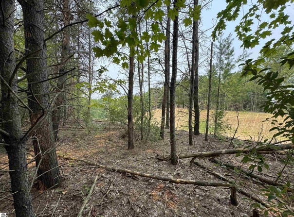 Lot #1 E Bellinger Road, Cedar, MI 49621