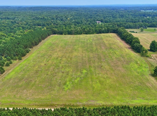 20+/- Acres 140th Avenue, Stanwood, MI 49346