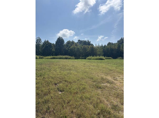 003 HANCOCK Rd, Ripley, TN 38063