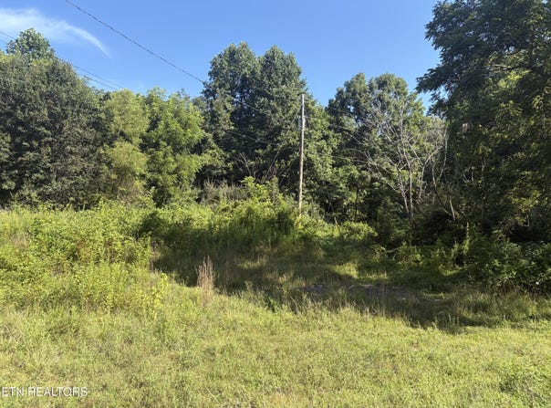 5739 Morgan Co Hwy, Lancing, TN 37770