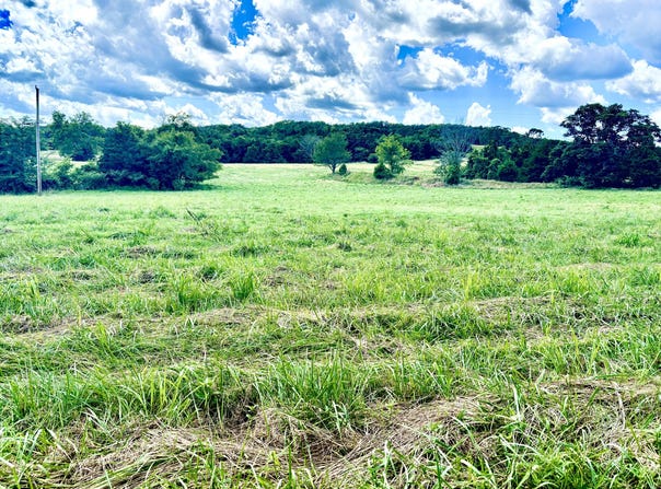 001 Tbd County Road 900, Theodosia, MO 65761