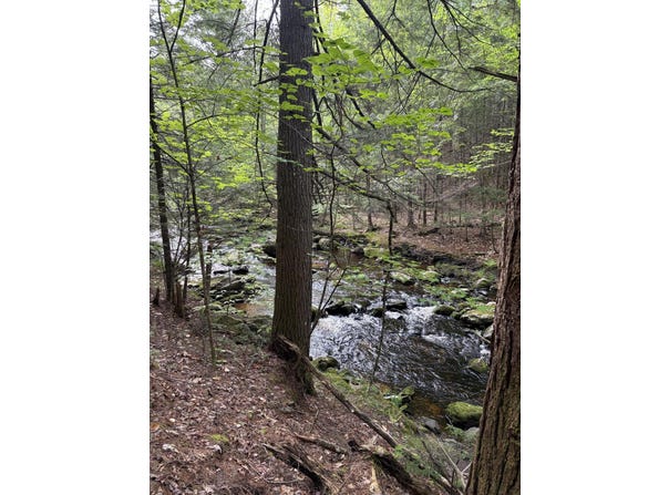 5 Bog Brook Loop, West Paris, ME 04289