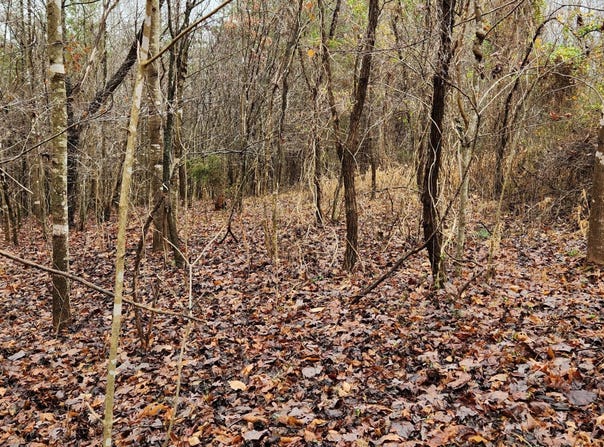 LOT 6 Brooks Mill RD, Glade Hill, VA 24092