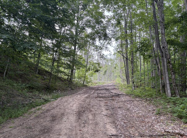 Mount Jack Road, Elmira, MI 49730