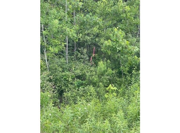 Tbd Parcel I Fox Road, Hinckley, MN 55037