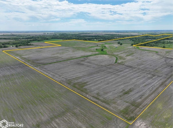 Boston Chapel Rd., Waggoner, IL 62572