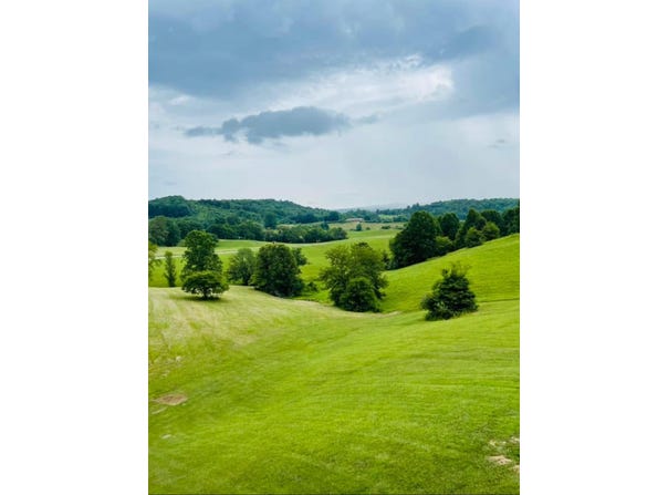 9999 Shiner Hill Phase II, Williamsburg, KY 40769