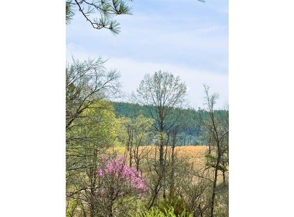HWY 144, Smithville, OK 74957