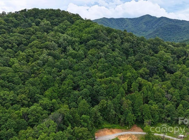 0000 Wayward Cove, Clyde, NC 28721