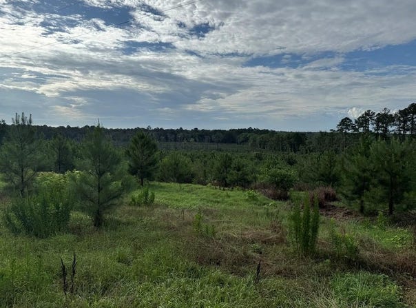275 Lewis Ln, Cairo, GA 39828