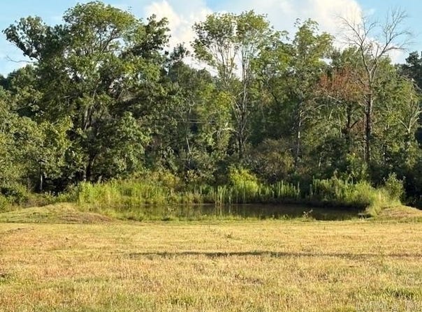 Hempstead 49, Fulton, AR 71838