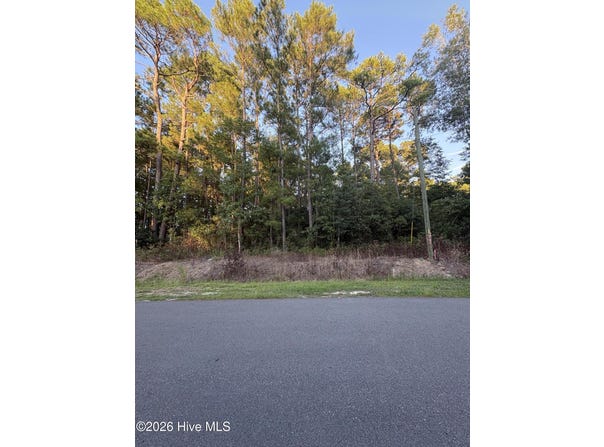 524 Boundary Loop Road NW lot: 252, Calabash, NC 28467