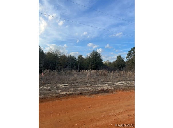 Deer Loop lot: 46, Camden, AL 36726