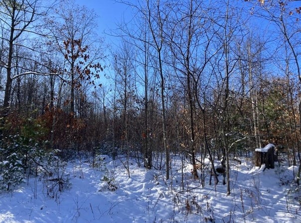 Calkins Road, Peru, NY 12972