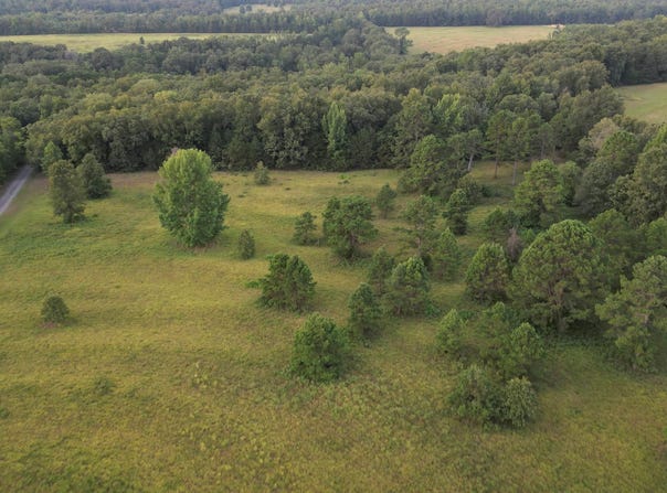 360 Banister Rd., Greenbrier, AR 72058