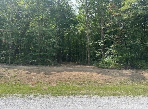 Hood Lane lot: 354, Wilder, TN 38589