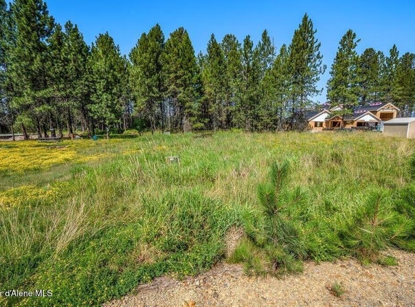 219 BALD EAGLE, Newport, WA 99156