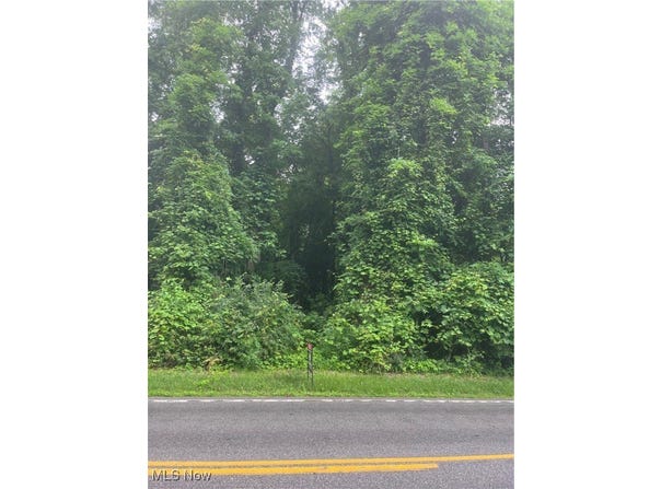 Mcmackin Road, Madison, OH 44057