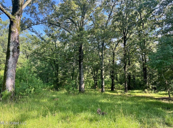 Old Hwy 49 S, Richland, MS 39073