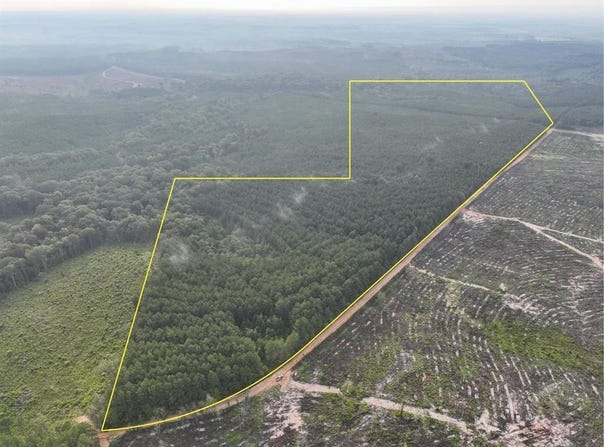2 Red Rock Road, Robeline, LA 71469