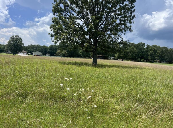 000 Private Rd 8825, West Plains, MO 65775