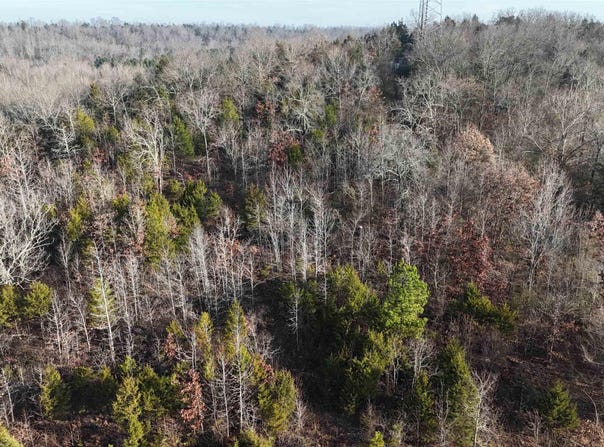 Marshall, AR 72650