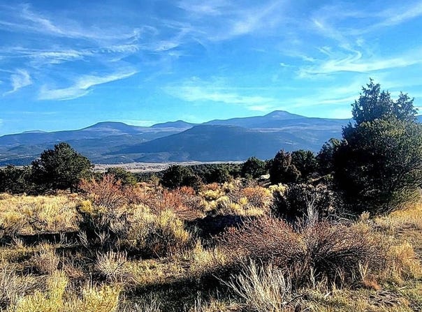 1094 Valley View Rd, South Fork, CO 81154