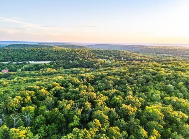 000 Highway 75 81.13 ac, Okmulgee, OK 74447