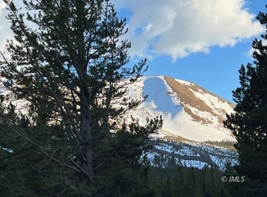 Tamarack Ln, Virginia Lakes, CA 93517