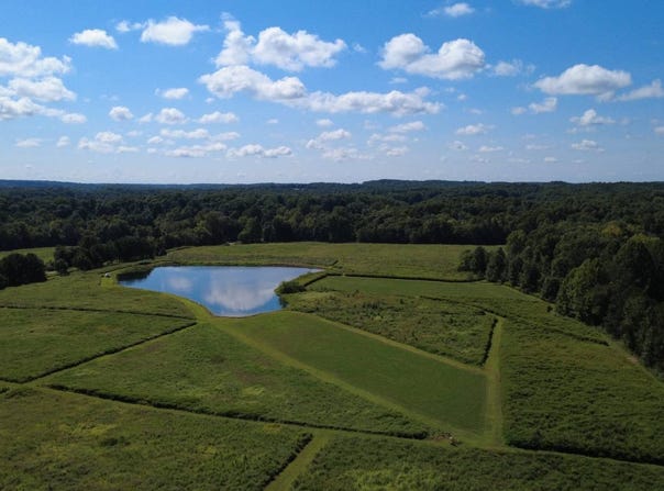 24 ac +/- Henry Hicks Road, Herod, IL 62947