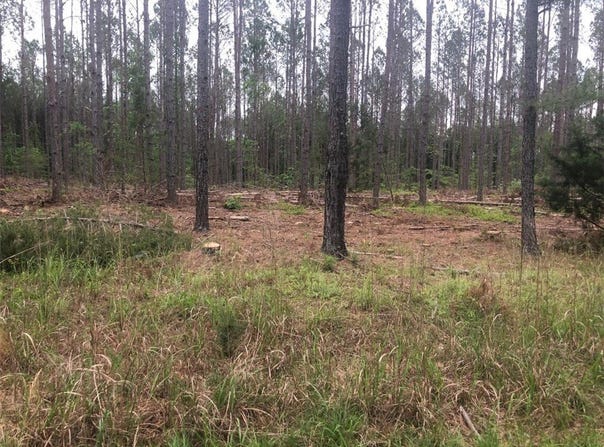 MIKE MCCONNELL Avenue, Iva, SC 29655