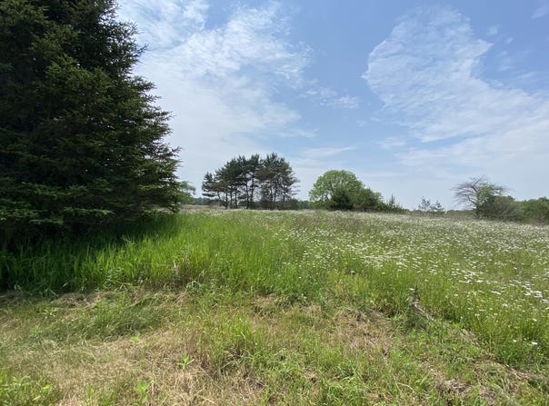 7020 Hillman Road, Six Lakes, MI 48886