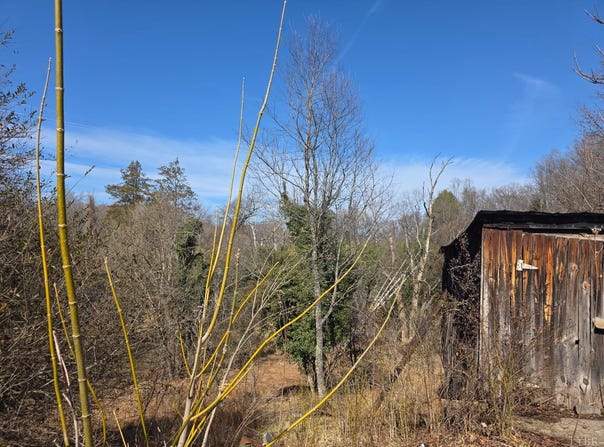 807-A Old Forest Road, Lynchburg, VA 24501