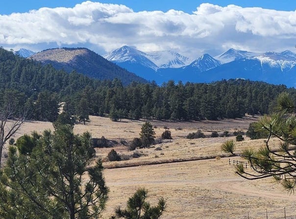 311 Kit Carson Trail, Cotopaxi, CO 81223