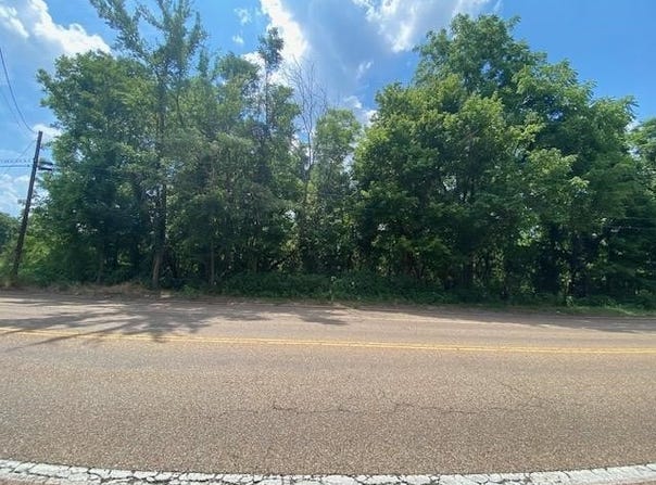 HWY 18, Medon, TN 38356