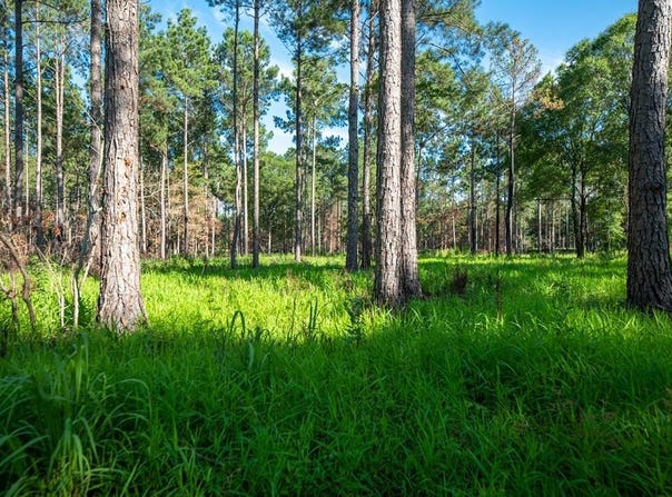 221 ac Crestview Road, Arlington, GA 39813