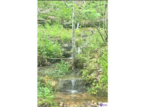 863 Fuller Harding Road, Campbellsville, KY 42718
