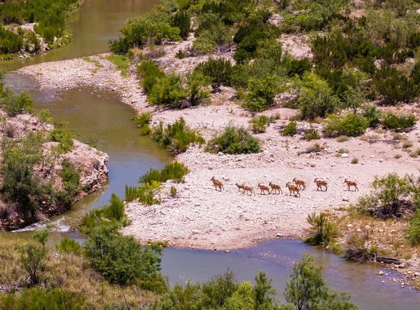 4200 County Rd 411, Ozona, TX 76943