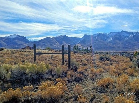787 Clover Drive, Spring Creek, NV 89815
