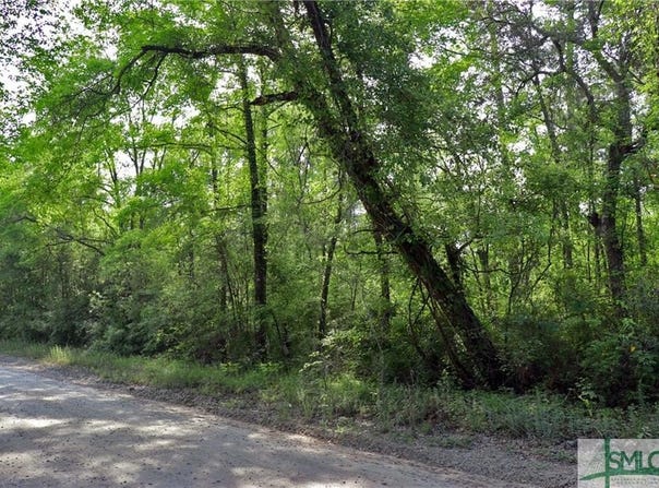 168 Middle Landing Road, Bloomingdale, GA 31302