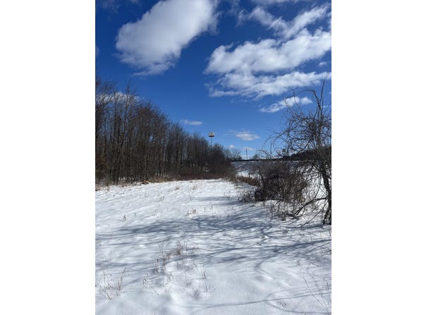 10100 Miller Drive, Galesburg, MI 49053