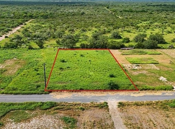 16 Carlotta Street, Rio Grande City, TX 78582