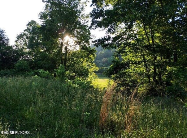 Tbd Main Street, Sneedville, TN 37869