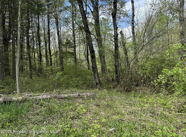996 Rosengrant Road, Lake Ariel, PA 18436