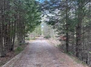 5 acres N Black River Road, Cheboygan, MI 49721
