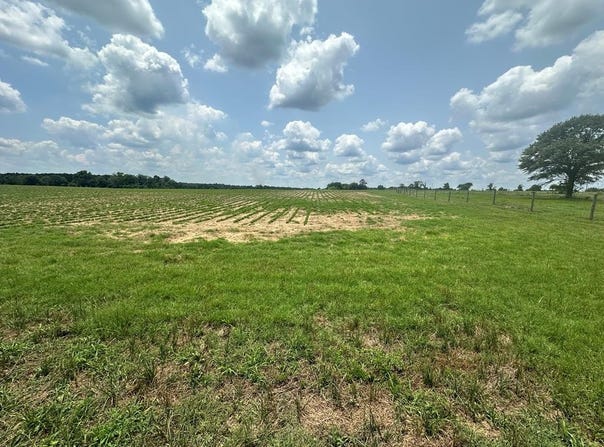 12 Acres Lot 1 J Saunders, Dothan, AL 36305