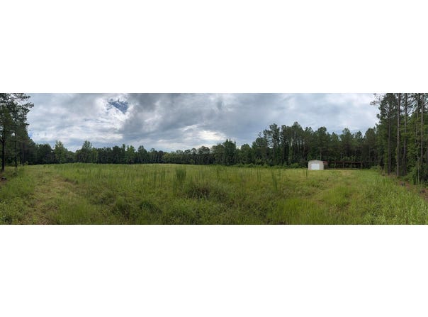 CO RD 87, Winfield, AL 35594